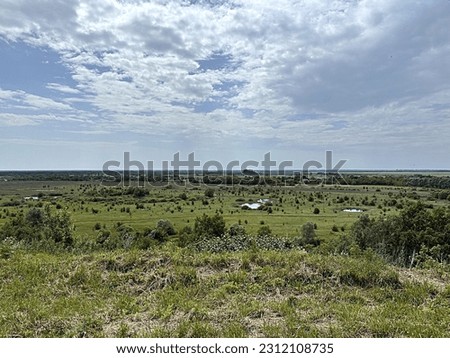 summer landscape green lu on a blue background with clouds sky. the concept of harmony and tranquility