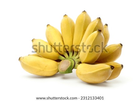 Ripe cultivated banana (Kluay Namwa) bunch isolated on white background. Clipping path. Royalty-Free Stock Photo #2312133401