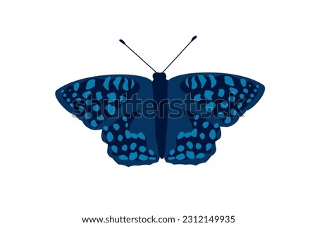 blue butterfly moth fly insect wing illustration