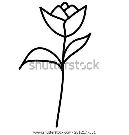 leaves line art botanical illustration