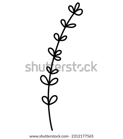 leaves line art botanical illustration