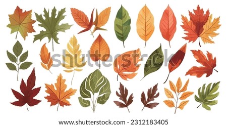 A set of icons with various leaves, autumn natural leaves botanical vector illustration Royalty-Free Stock Photo #2312183405