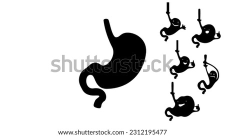 human stomach silhouette,  high quality vector