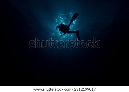 Diver Silhouette underwater with sunlight in background