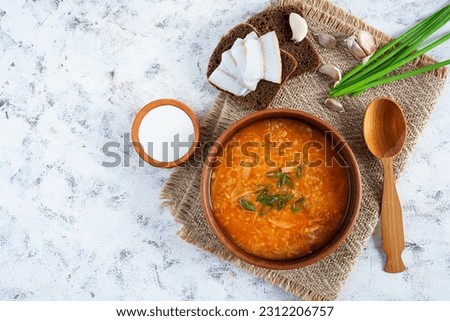 Cabbage soup in bowl with green onion, bread and salo on white background. Top view