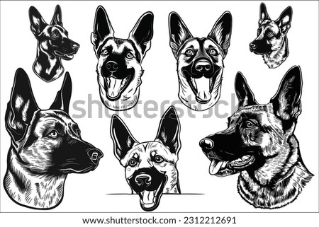 belgian malinois Dog Head Vector Clipart Royalty-Free Stock Photo #2312212691