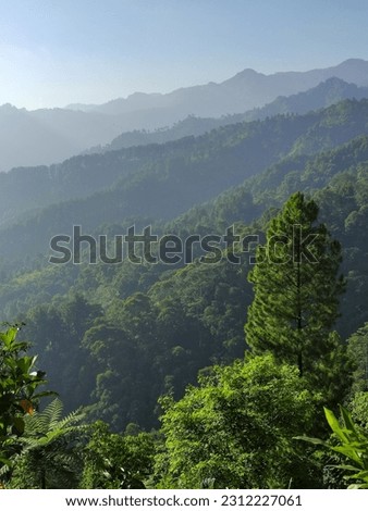 Foggy green hills with beautiful sunshine