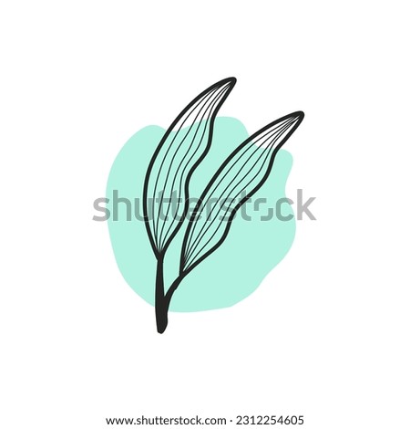 Line Art Leaf on Organic Shape 