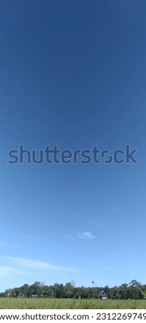 blue sky in the field