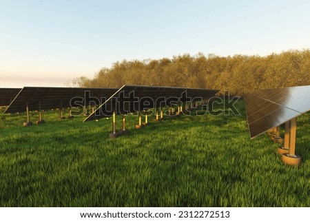 Rows of solar panels on a green meadow against the background of trees in the forest at sunset