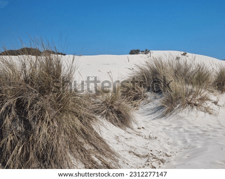 Is Arutas dune in Sardinia, during a summer day in August 2022 