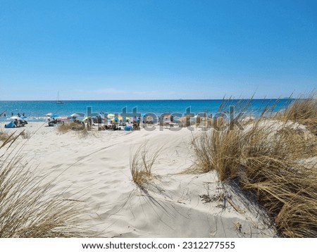 Beautiful beach in Sardinia, during a summer day, summer vibes