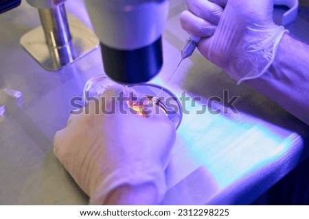 Reproductology laboratory assistant adding special drops with capillary holder Royalty-Free Stock Photo #2312298225