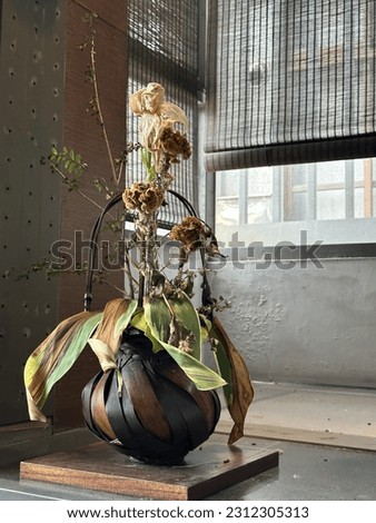 Dried flower in the pot