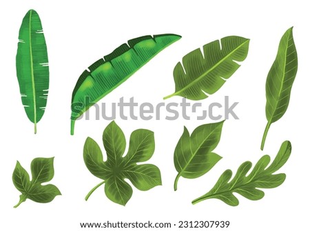Realistic tropical plants green leaf set design