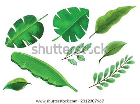 	
Tropical different type exotic leaves set design