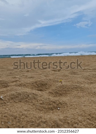 beach area, blue clear sky, clear brownish gold sand