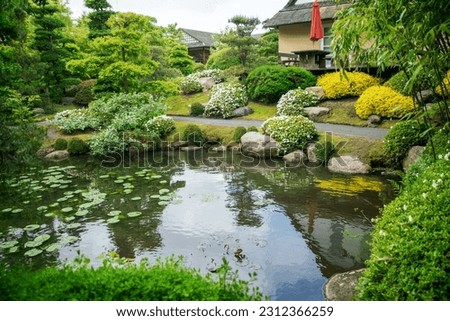 Japanese garden   of white rhododendron bushes and yellow bush of barberry (?) in Vojstrup and reflction in water