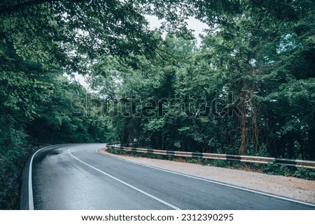 A rain soaked road in bad weather surrounded by green trees, ferns and foliage of the surrounding rain forest.