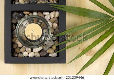 Relaxing Scented Candle with Rocks and Green Plant