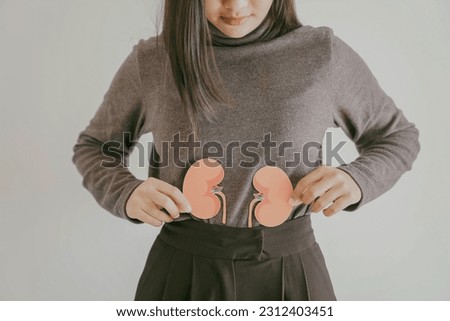 Hands holding kidney shape, chronic kidney disease, renal failure concept Royalty-Free Stock Photo #2312403451