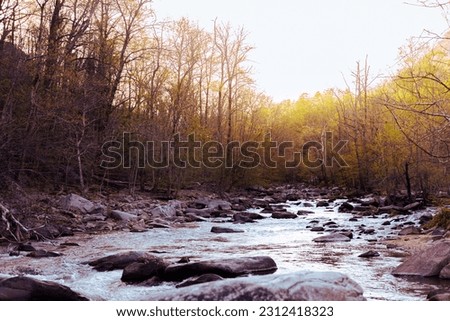 The Rocky Broad River in Chimney Rock, NC.