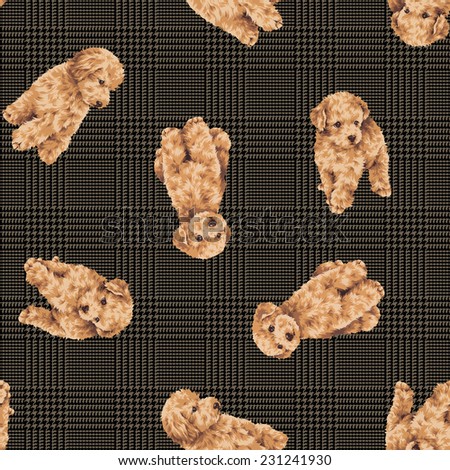 Pattern of dog