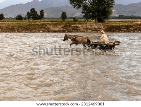 Horse cart riding through flooding river water. selective focus. Royalty-Free Stock Photo #2312469001