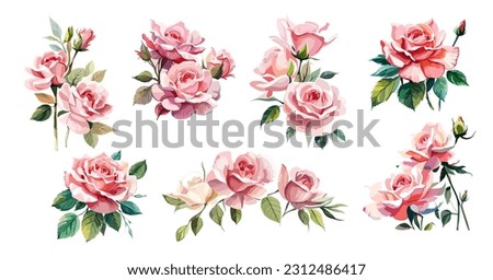 Set of Gorgeous Pink roses compositions. Watercolor illustrations isolated on white background. Floral design elements, corner, border, arrangement for cards, invitations. June birth month flowers Royalty-Free Stock Photo #2312486417