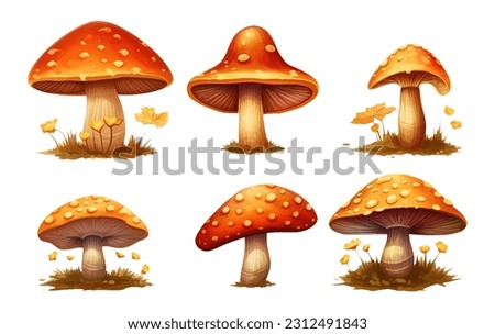 set vector illustration of forest red amanita isolated on white baclground cones acorns Royalty-Free Stock Photo #2312491843