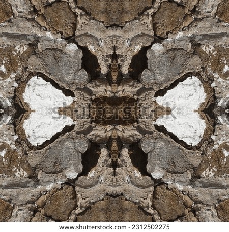 Abstract Organic Image. Symmetrical Pattern Texture. Kaleida Design