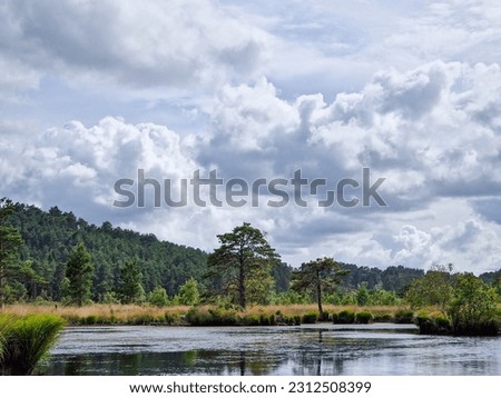 Countryside views over a lake and country woodland