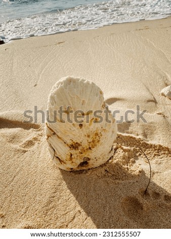 standing white coral stone with wave at the beach in summer day