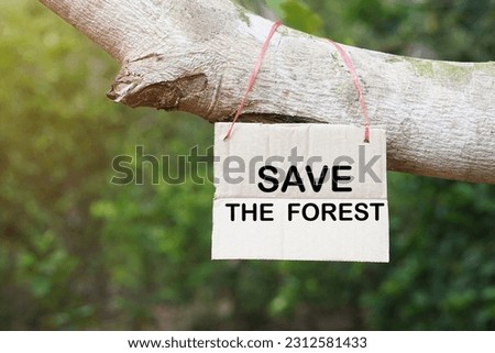 Paper tag with words Save the forest hangs on branch of tree in forest. Concept, forest conservation. Campaign people around the world to stop deforestation, cut down trees, reforest                  