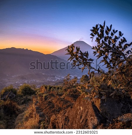 
photo of the beauty of the mountains in the morning with a purplish blue sky accompanied by leaves. This photo is suitable for cellphone wallpapers, magazine covers, photo walls and so on