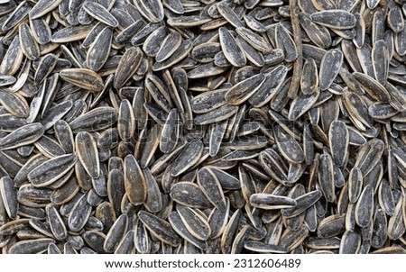Black sunflower seeds for texture or background. Salty cruchy sunflower seeds as background. Royalty-Free Stock Photo #2312606489