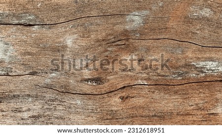Versatile wood background with rustic charm for design or illustration purposes. Seamless textures, natural patterns, and grunge-inspired brown tones add depth to projects.