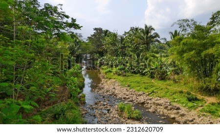 view of river background of trees in indonesia