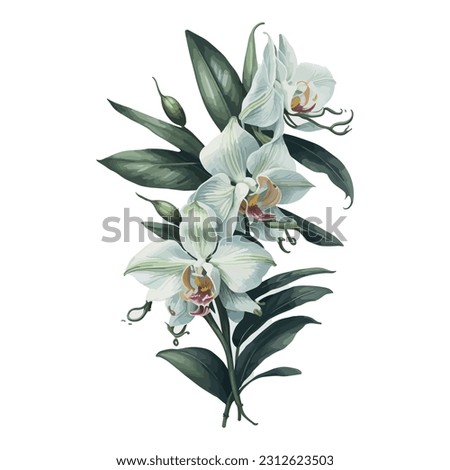 A mesmerizing portrayal of the elegant Dendrobium Orchid in delicate watercolor hues. The graceful curves of the petals and the intricate details of the blooms are captured with artistic finesse.