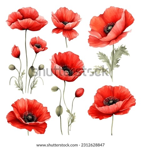 Set of watercolor vector red poppies Royalty-Free Stock Photo #2312628847