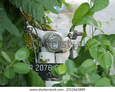 Classic white old motorcycle among green leaves