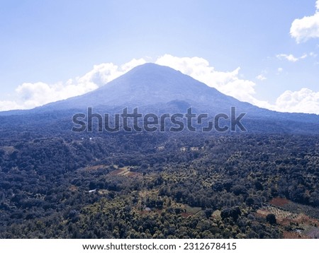 Aerial view of the San Lucas Tolimán volcano. Coffee plantation on the slopes of the volcano.