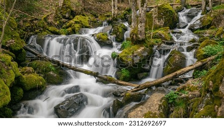 Idyllic panorama of a flowing mountain creek