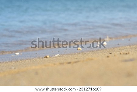 Sand and pebbles and tiny wave, shallow depth of field