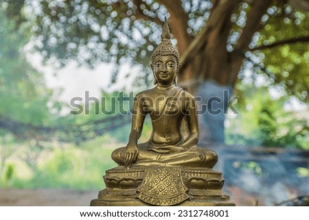 Buddha statue in nature background,beautiful gold color buddha statue,Buddha statue in nature sunset blurred background