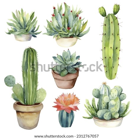 Cactus Watercolor Illustration.Succulent and Cacti Prints Elements Royalty-Free Stock Photo #2312767057