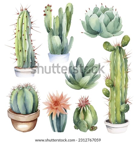 Cactus Watercolor Illustration.Succulent and Cacti Prints Elements Royalty-Free Stock Photo #2312767059