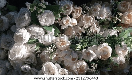 The white rose background is very beautiful