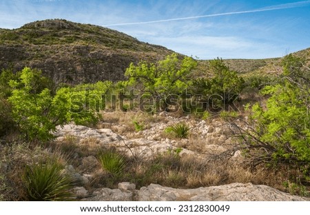 Carlsbad Caverns National Park in New Mexico Royalty-Free Stock Photo #2312830049