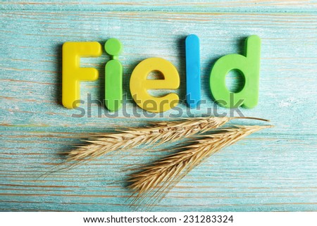 Field word formed with colorful letters on wooden background